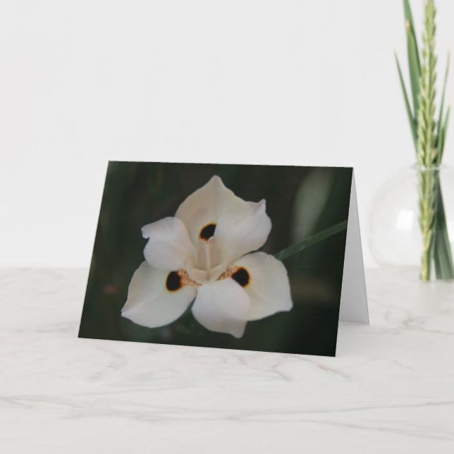 kleine Blume Dankeskarte (Vorderseite)