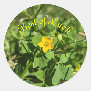 Kleine Blume Runder Aufkleber