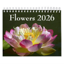 Kleine Blumen 2026 Kalender