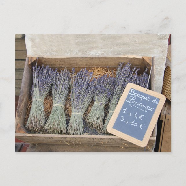 Kleine Blumensträuße des Lavendels Postkarte (Vorderseite)