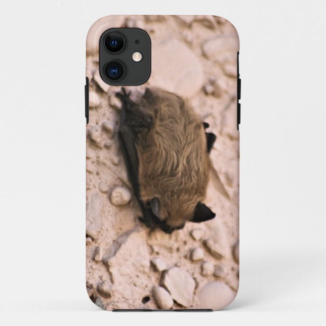 Kleine Braune Fledermaus Case-Mate iPhone Hülle (Rückseite)