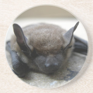 Kleine braune Fledermaus (Myotis lucifugus) Untersetzer
