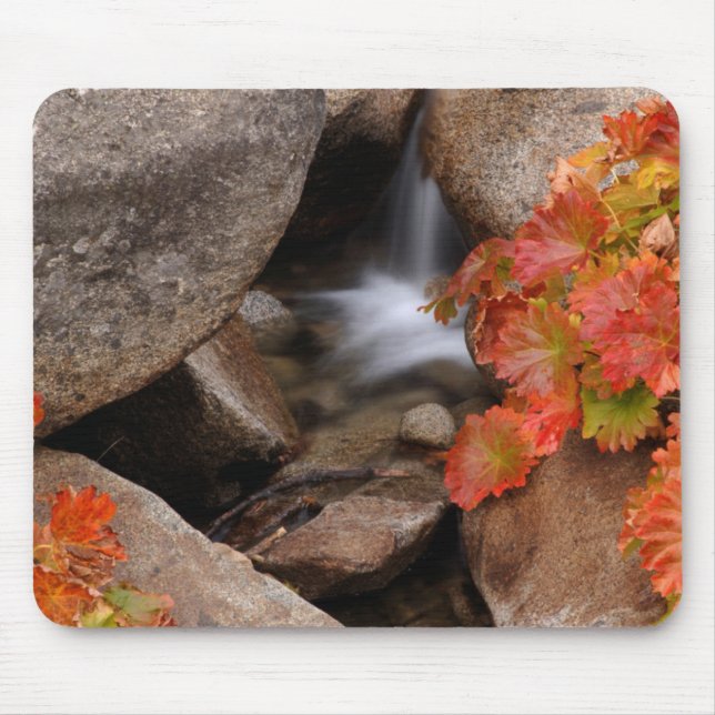 Kleine Bucht im Herbst, Kalifornien Mousepad (Vorne)