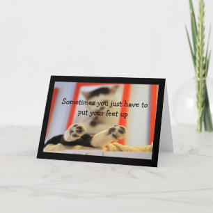 Kleine Cat Feet bekommt gute Wünsche Karte