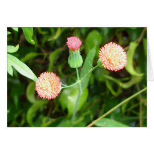 Kleine Cheerleaderkarte