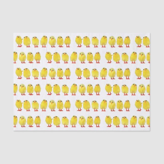Kleine Chicks Seidenpapier (Vorderseite)