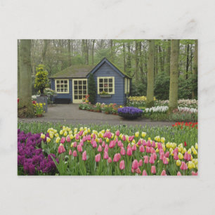 Kleine Cottage-Blumenhandlung, Keukenhof-Gärten, Postkarte
