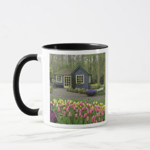 Kleine Cottage-Blumenhandlung, Keukenhof-Gärten, Tasse