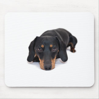 Kleine Dackel Mousepad