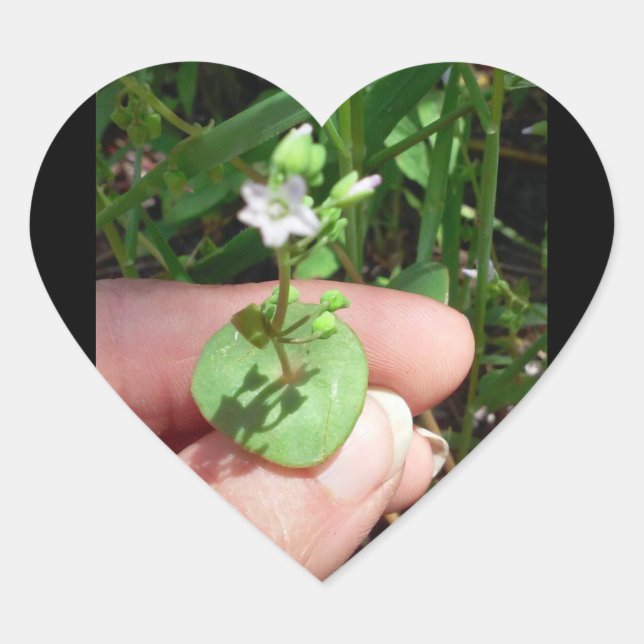 Kleine Dinge, herzförmige Aufkleber (Vorderseite)