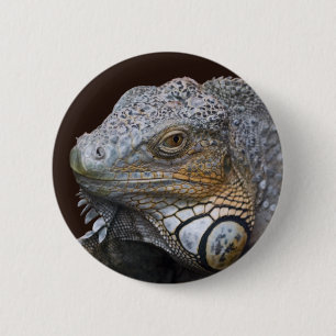 Kleine Drachen-Tasche Button