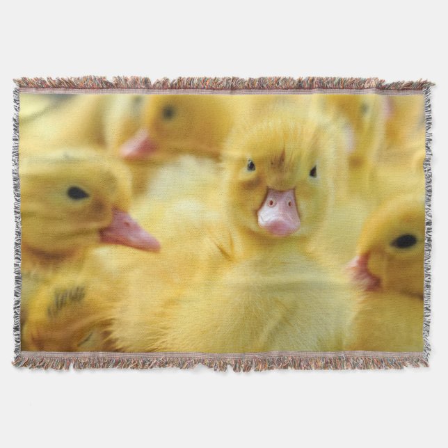 Kleine Enten Decke (Vorderseite)