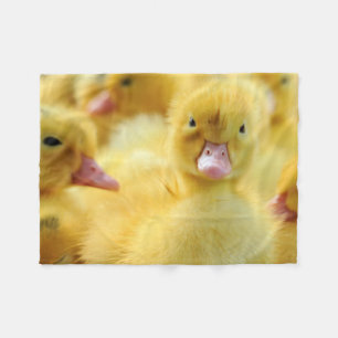 Kleine Enten Fleecedecke