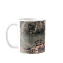 Kleine Enten