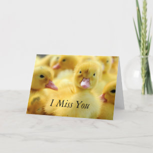 Kleine Enten Karte