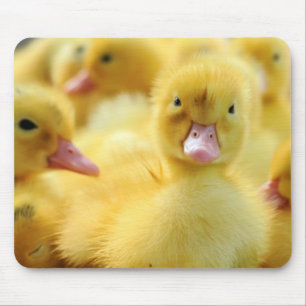 Kleine Enten Mousepad