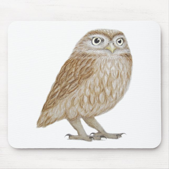 Kleine Eule 2011 Mousepad (Vorne)