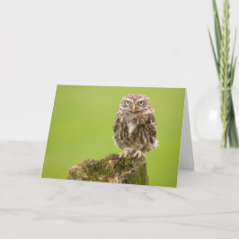 Kleine Eulen-Karte durch cARTerART Karte