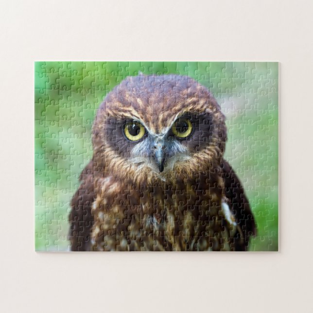 Kleine Eulen-Puzzle Puzzle (Horizontal)