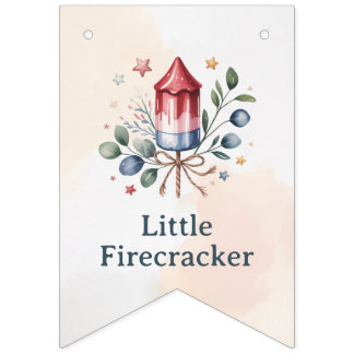 Kleine Feuerwerk-Patriotische Aquarell-Baby-Show Wimpelkette