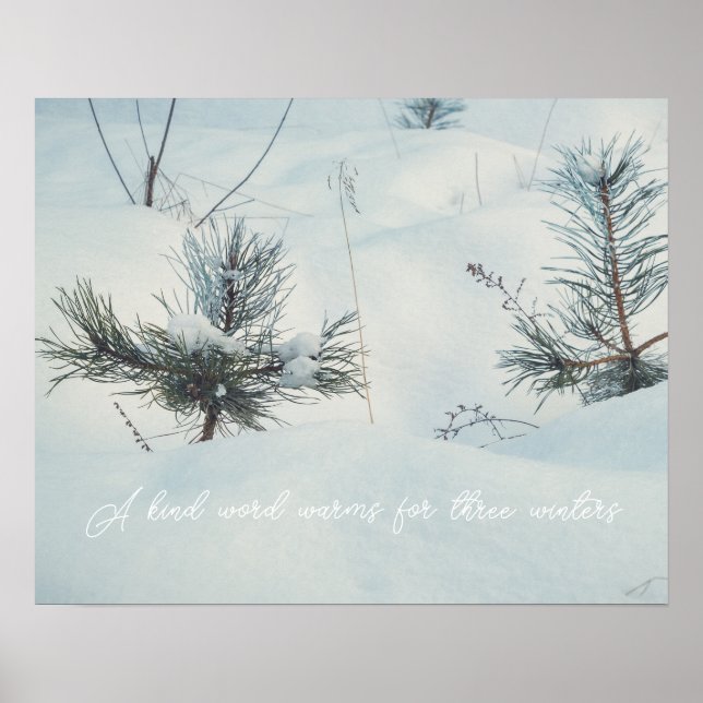 Kleine Fichten unter Schnee Poster (Vorne)