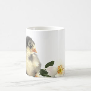Kleine, flauschige Hühner Kaffeetasse