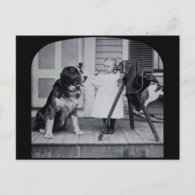 Kleine Fotografin und ihr St. Bernard Vintag Postkarte (Vorderseite)