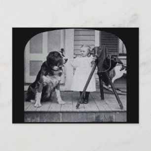 Kleine Fotografin und ihr St. Bernhard Vintage Postkarte