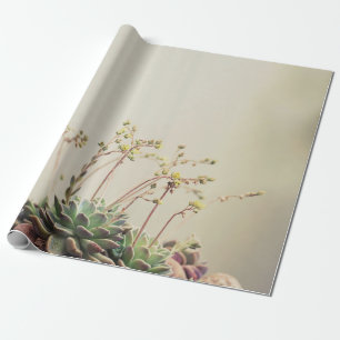 KLEINE GARTENSUKKULENTE GESCHENKPAPIER