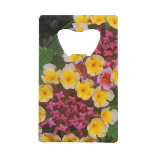 Kleine, gelbe tropische Blume mit rosafarbenen Bud Geldbeutel Flaschenöffner (Vorderseite)