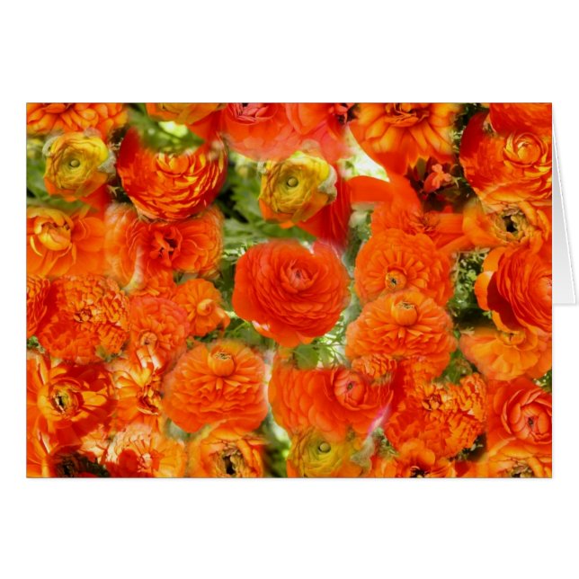 Kleine Gesichter (Vorderseite (Horizontal))