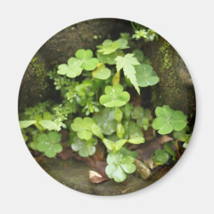 Kleine Grüntöne Magnet