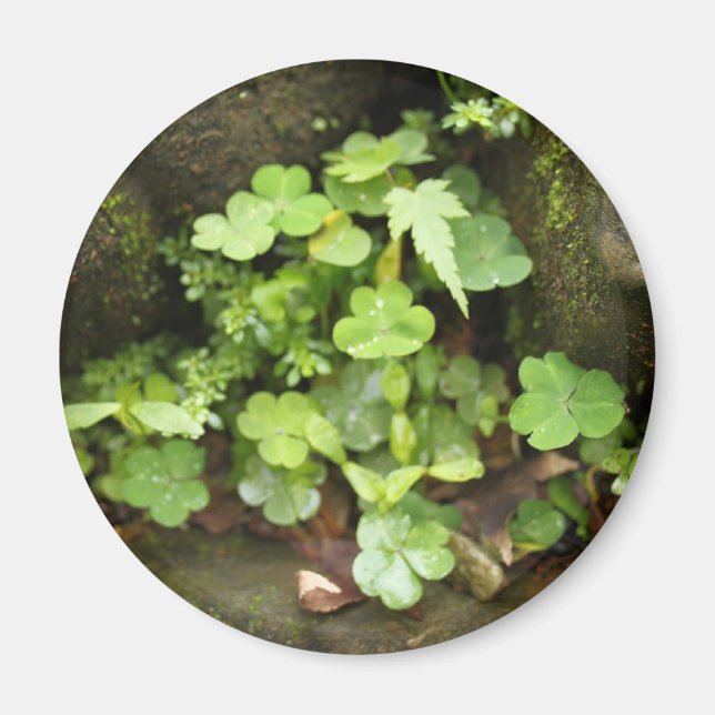 Kleine Grüntöne Magnet (Vorne)