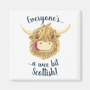 Kleine Hamish Hochland-Kuh sagt schottischen Magnet