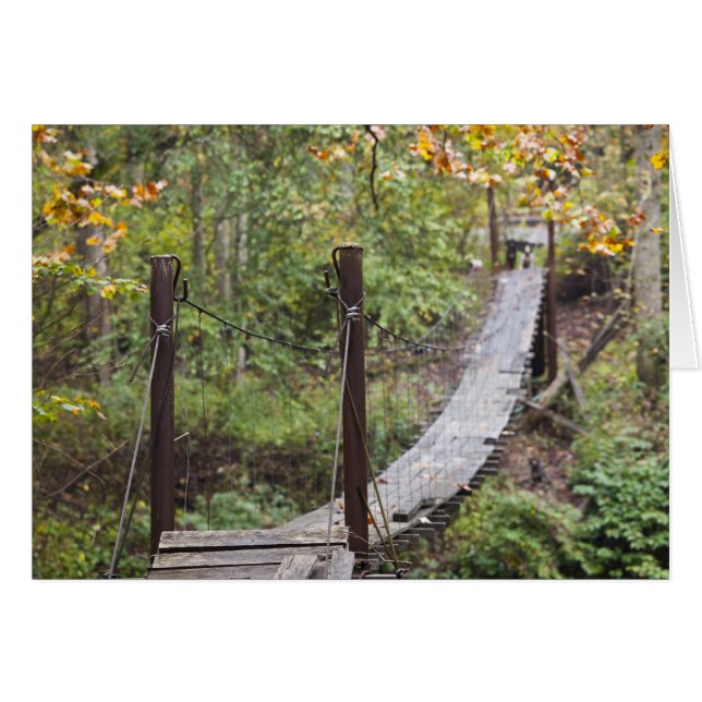 Kleine Hängebrücke, National Coal Heritage (Vorderseite (Horizontal))