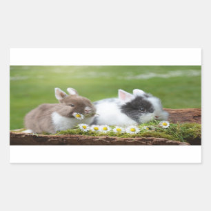 Kleine Häschen mit Gänseblümchen Rechteckiger Aufkleber