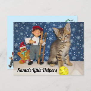 Kleine Helfer des Weihnachtsmanns - Katze und Elf Postkarte
