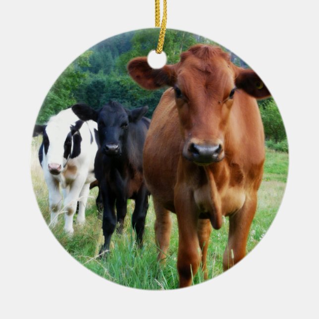 Kleine Herde von drei Kühen Keramik Ornament (Vorne)