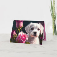 Kleine Hund und Rosen-Kollektion
