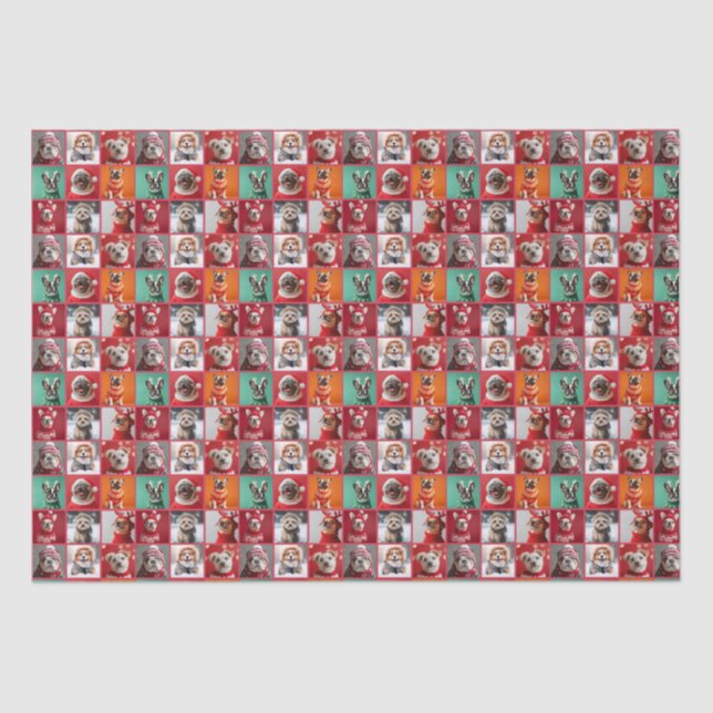 Kleine Hunde in Sweaters Wrapping Paper Roll Seidenpapier (Vorderseite)