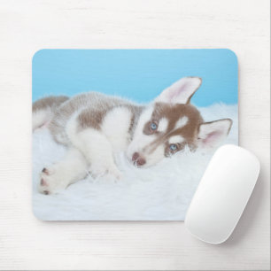 Kleine Husky-Welpe, die auf der Decke spielt Mousepad