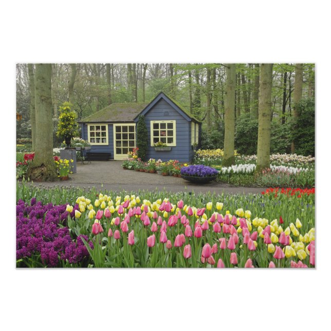 Kleine Hütte Blume, Keukenhof Gardens, Fotodruck (Vorne)