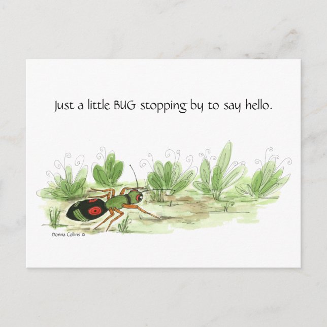 Kleine Käfer Postkarte (Vorderseite)