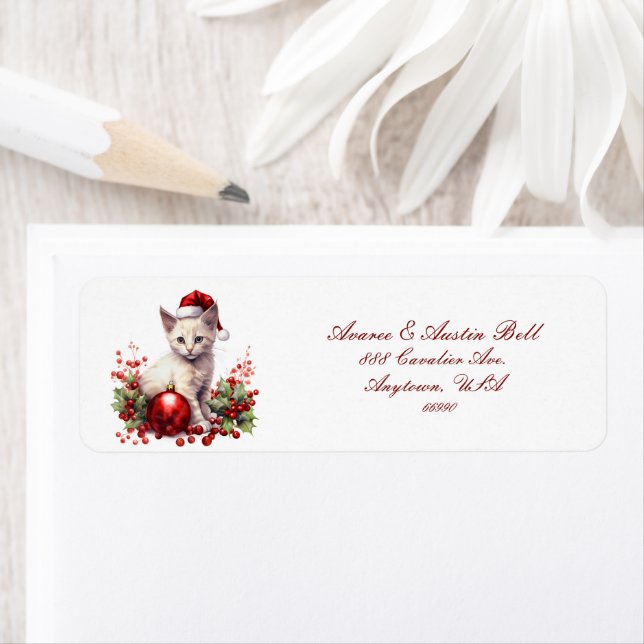 Kleine Kätzchen zu Weihnachten verkleidet (Insitu)