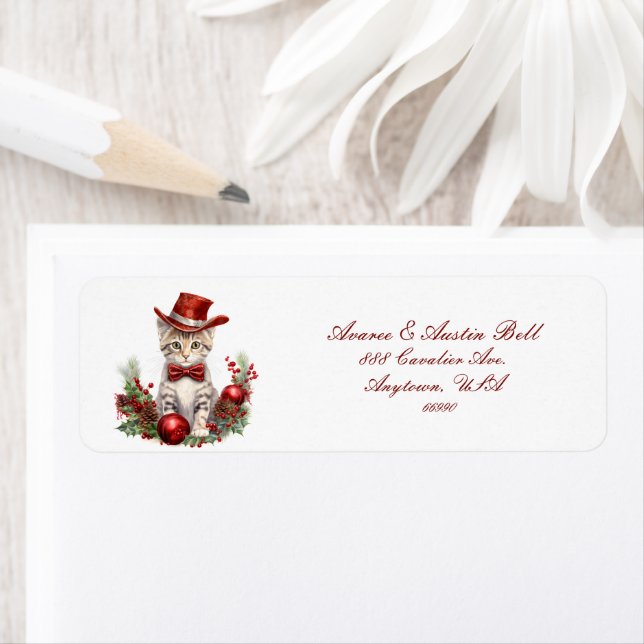 Kleine Kätzchen zu Weihnachten verkleidet (Insitu)