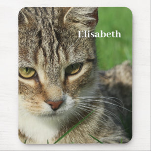 kleine Katze auf der grünen Wiese Mousepad