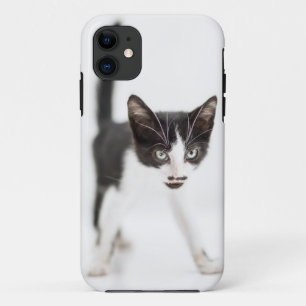 Kleine Katze Case-Mate iPhone Hülle