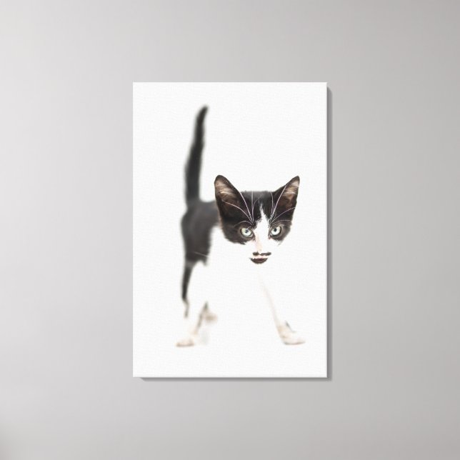 Kleine Katze Leinwanddruck (Vorderseite)