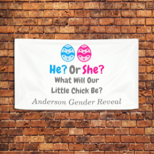 Kleine Kick Gender Reveal Banner