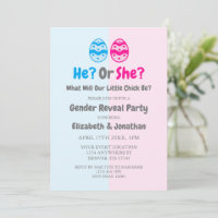 Kleine Kick Gender Reveal